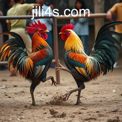 Exploring the Tradition and Debate Surrounding Cockfighting